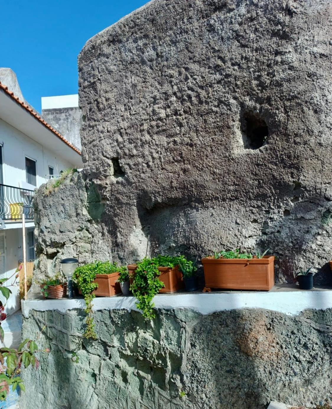 Casa Delle Rose Apartment Иския Екстериор снимка